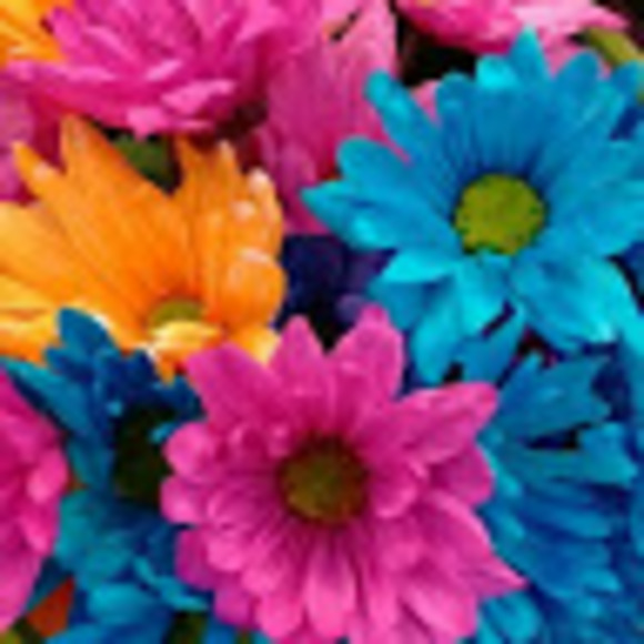 Meet your Posher, Latte - Picture 1 of 1